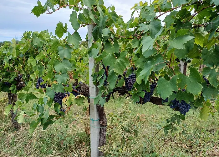 Agriturismo Bulletta Perugia
